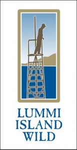 LIW_logo